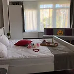 Guest house Pensiunea Pont-euxin