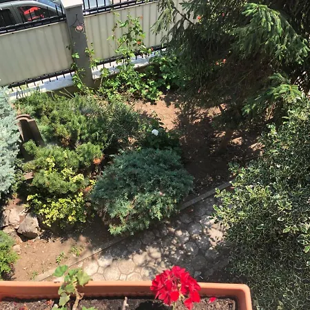 Pensiunea Pont-euxin 3*