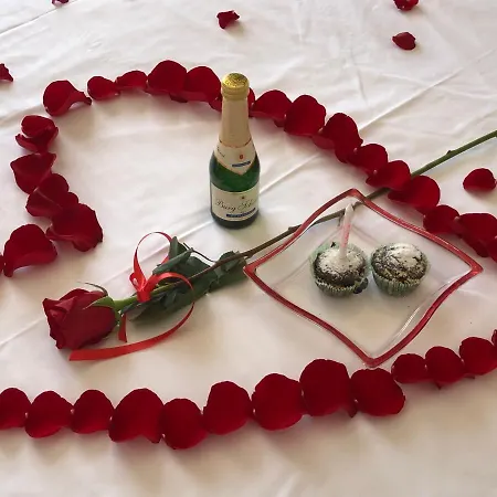 Pensiunea Pont-euxin Penzion 3*