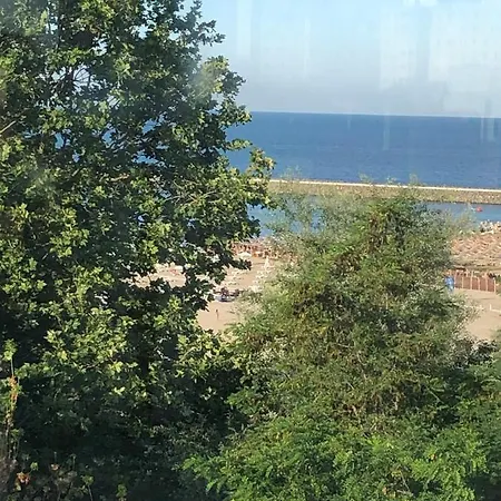 Pensiunea Pont-euxin 3*