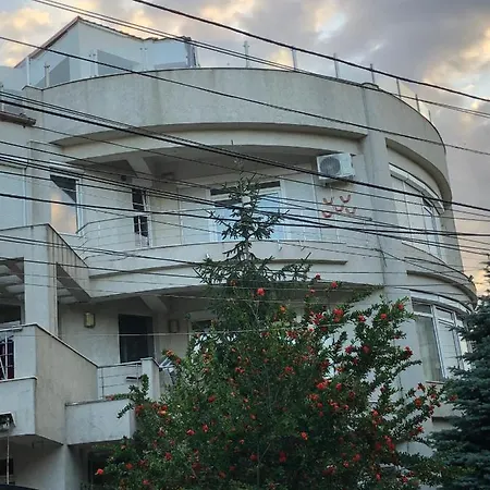 Pensiunea Pont-euxin 3*