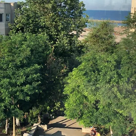 Pensiunea Pont-euxin Pensionat 3*