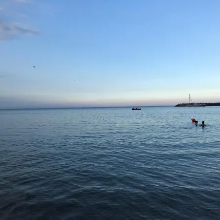 Pensiunea Pont-euxin 3*