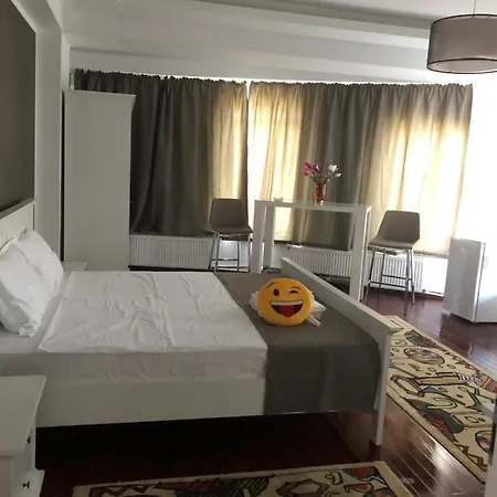 Pensiunea Pont-euxin 3*