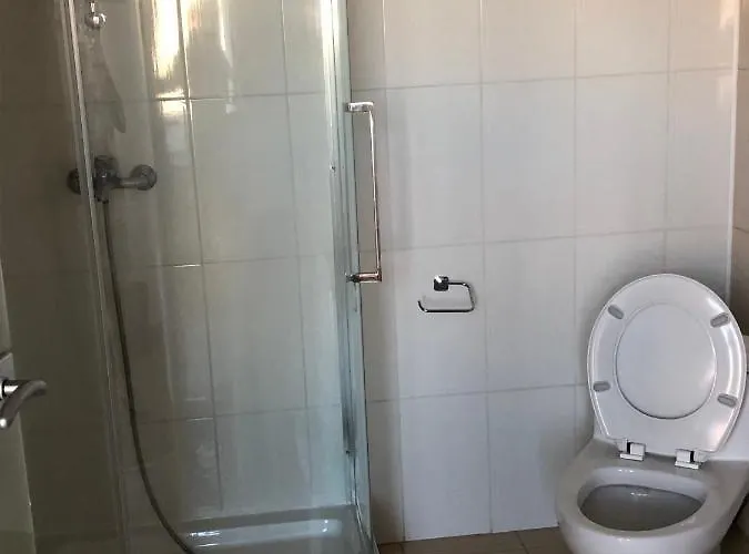 ゲストハウス Pensiunea Pont-euxin