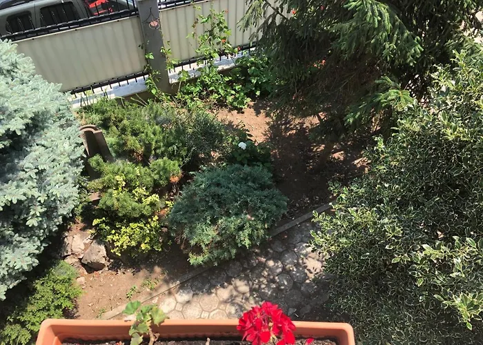 Pensiunea Pont-euxin 3*