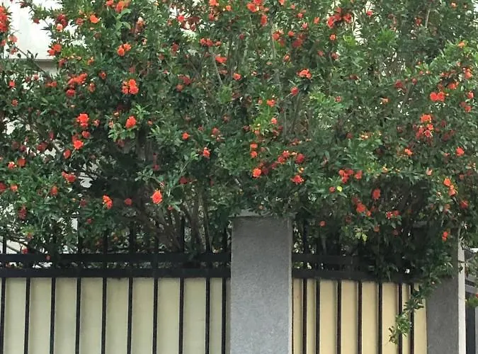 Pensiunea Pont-euxin 3*