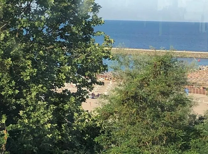 Pensiunea Pont-euxin 3*