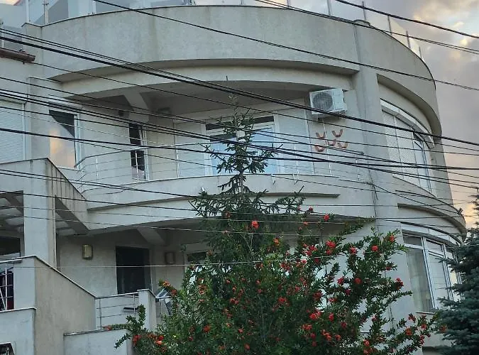 Pensiunea Pont-euxin 3*