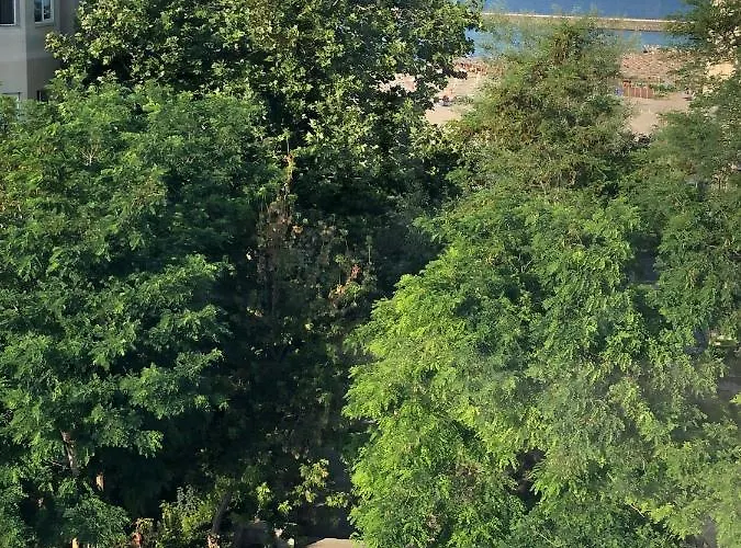 Pensiunea Pont-euxin ゲストハウス 3*