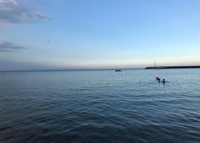 Pensiunea Pont-euxin 3*