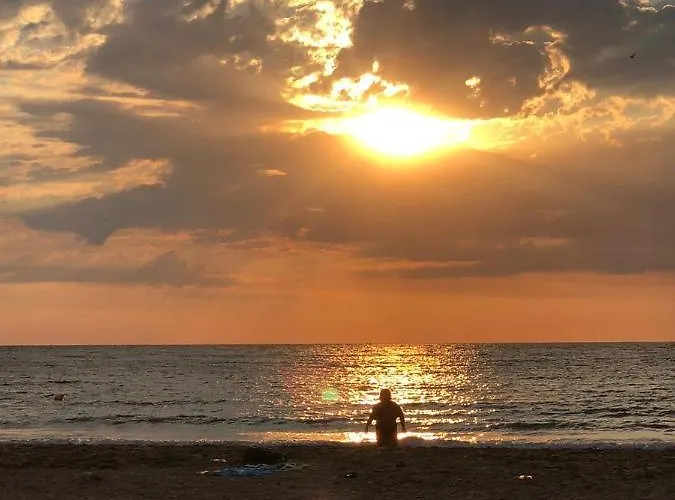 Pensiunea Pont-euxin 3*