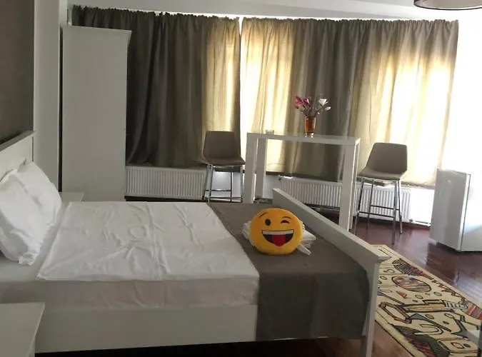 Pensiunea Pont-euxin 3*