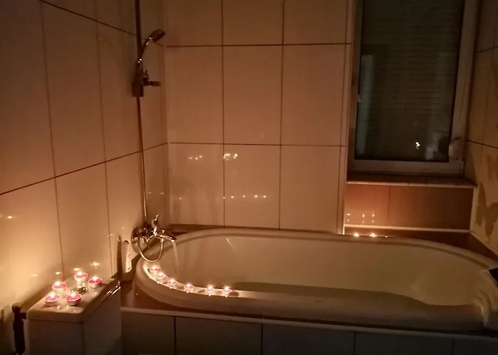 ゲストハウス Pensiunea Pont-euxin 3*