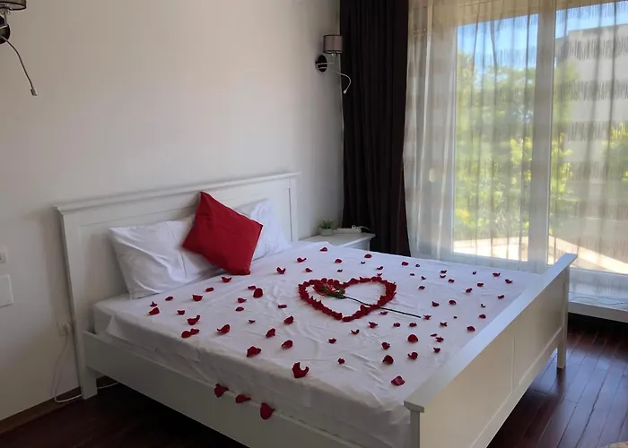 Pensiune Pensiunea Pont-euxin Constanţa