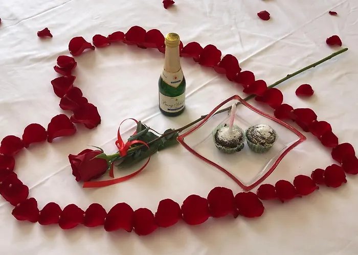 Pensiunea Pont-euxin ゲストハウス 3*