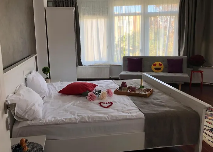 ゲストハウス Pensiunea Pont-euxin